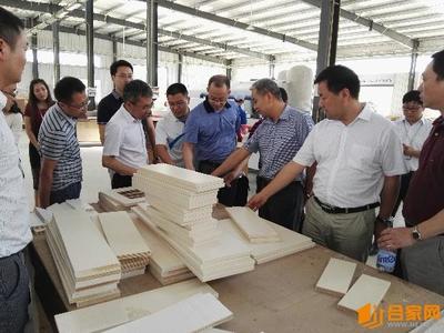 宜昌市住建委到宜都调研装饰装修一体化发展 - 今日头条(TouTiao.org)